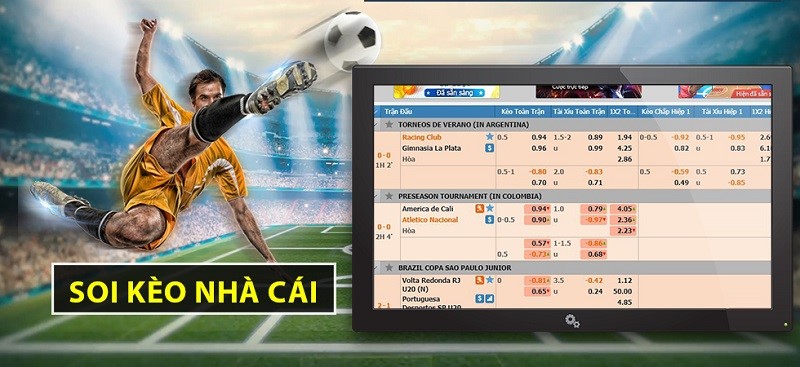k&egrave;o nh&agrave; c&aacute;i việt nam